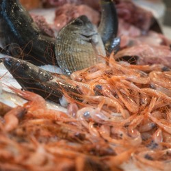 PESCATO DEL GIORNO (1Kg)
