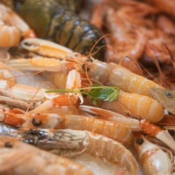 SCAMPI (1Kg)